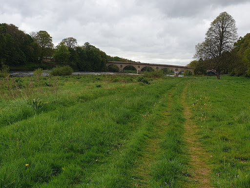 Coldstream Bridge - Thumbnail