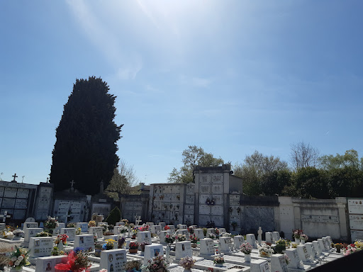 Cimitero di Salzano - Thumbnail