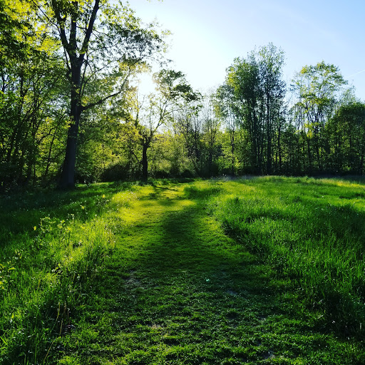 Firestone Metro Park, Parking Lot - Thumbnail
