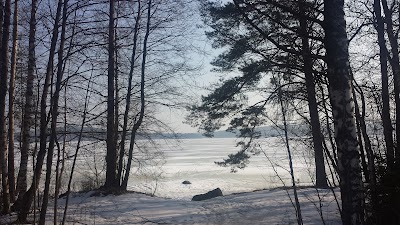 Photos of T:mi Ruokala Salo om. Raili Koskinen