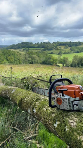 T.G.E Tree Services