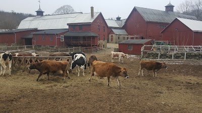 Photos of Muscoot Farm