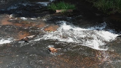 Photos of do&ntilde;a rafaela