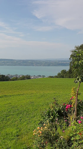 Rezensionen über Landgasthof Ried in Freienbach - Restaurant