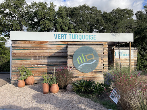 Photo de Poisson Vert à Sotta (20146)