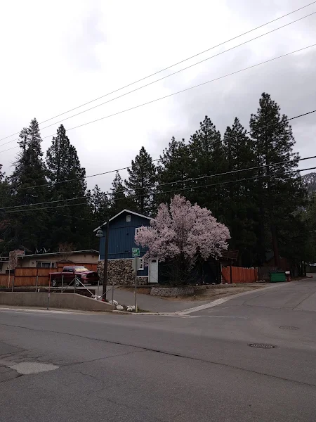 Pioneer Trail/Spruce Ave photo