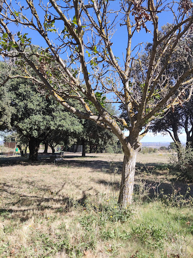 Zona aire libre