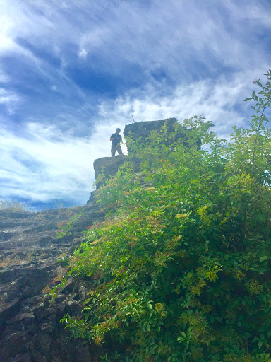 Martinstein - Visual
