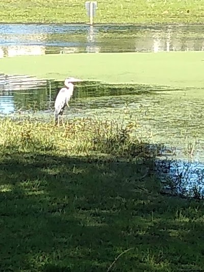 Pine Springs Mobile Home Park