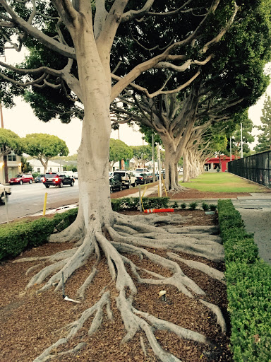 Culver City Teen Center - Thumbnail