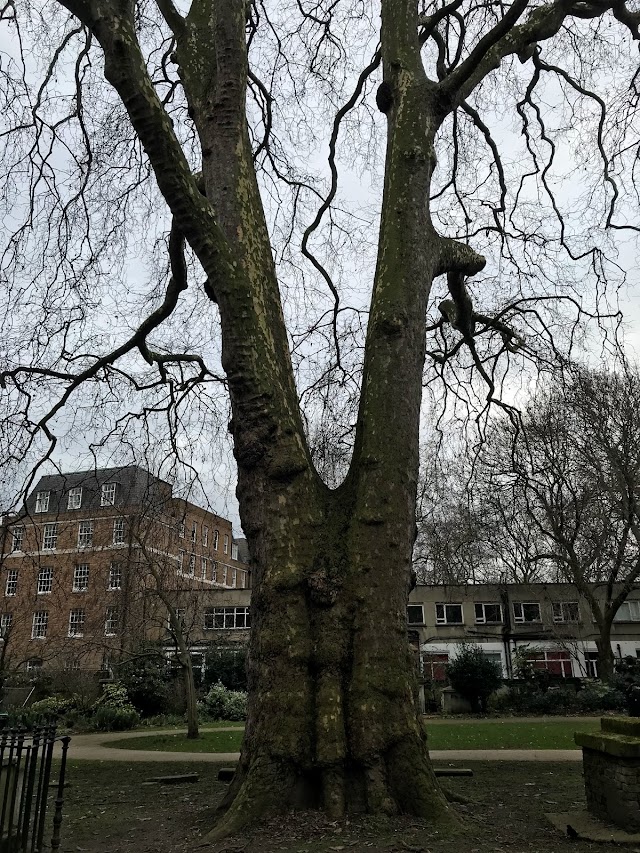St. George's Gardens