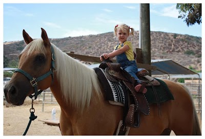 San Diego Beach Rides, Horse Rentals & Wagon Rides