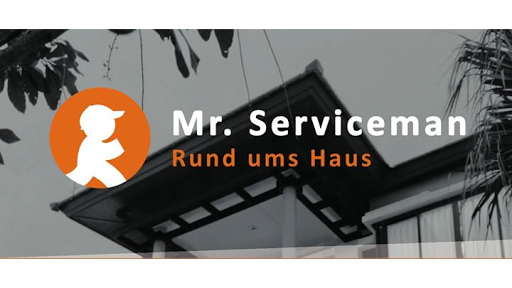 Mr. Serviceman - Visual