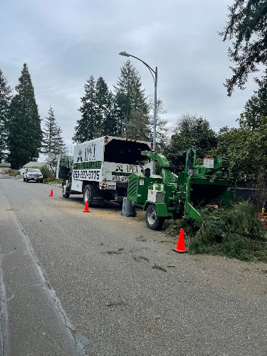 Apex Tree Experts - Gig Harbor
