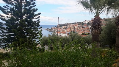 Photos of Camping Koroni