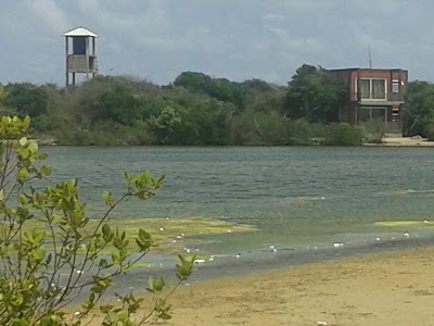 Photos of Sands Kalpitiya