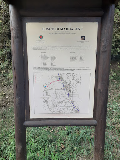 Bosco Urbano - Maddalene - Thumbnail