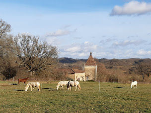 Photo n°3 de Equitation, Elevage Le Thoumas à Faget-Abbatial (Centre équestre)