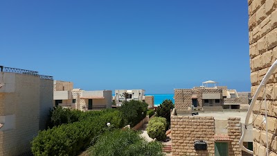Photos of Green Beach Association