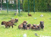 Le Paradis Des Edelweiss à Ambonnay
