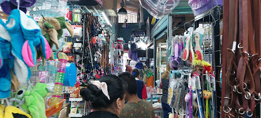 Market Emilio Carranza - Thumbnail