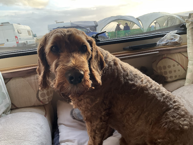 Reviews of The Beacon Veterinary Centre in Preston - Veterinarian
