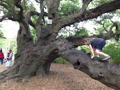 Labyrinth in Audubon Park