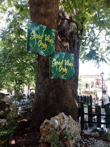 Comentarii opinii despre Τα Πλατάνια