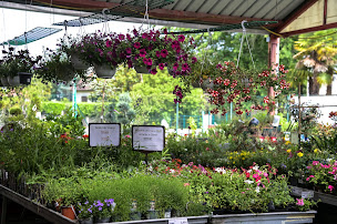 Photo n°5 de GAMM VERT à Artix (Pépinière)