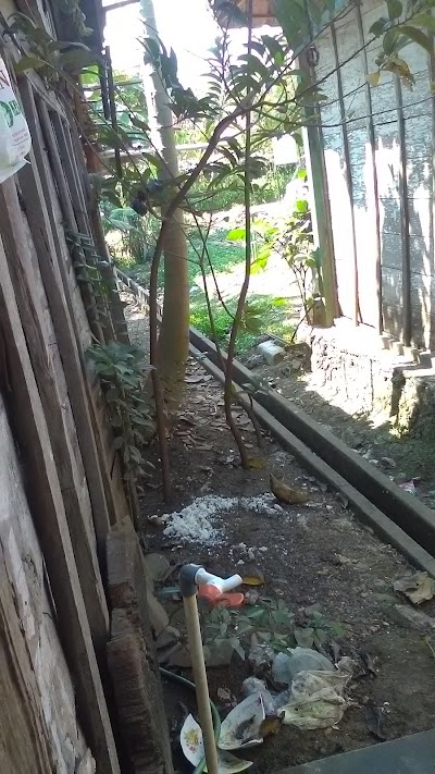 Photos of Masjid Singopranan
