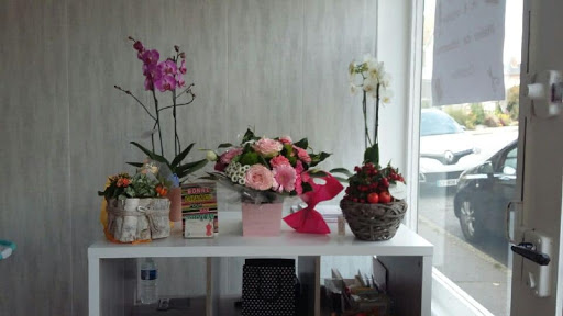CréAtelier - Visual