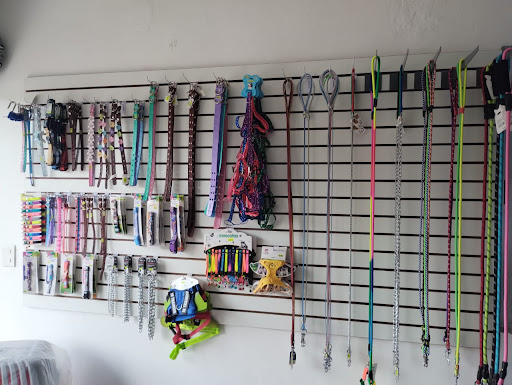 Clinica Veterinaria star pet