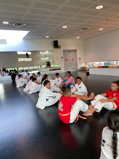 Martial Arts Spirit Cabramatta - Thumbnail