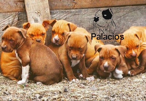 Veterinaria Palacios