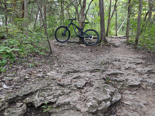 Landahl Mountain Bike Park Gallery - United States