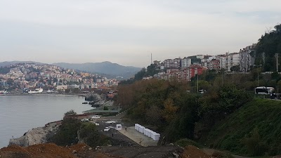 Photos of Zonguldak Municipality