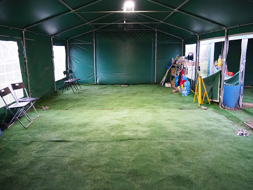 Hauvard szkolenie psów