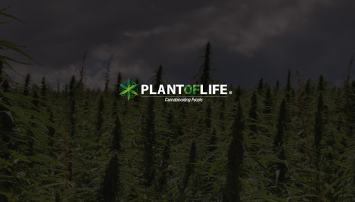 Plant Of Life Castellon CBD
