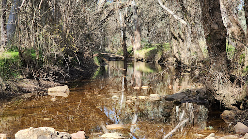 Ippinitchie Campgrounds - Thumbnail
