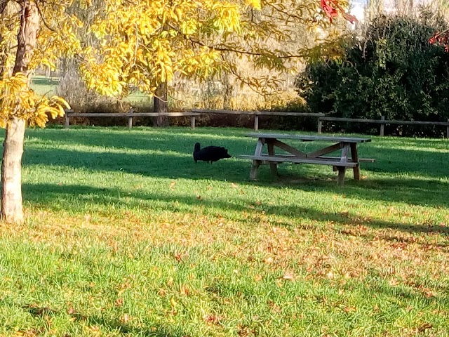 Parco della Trucca