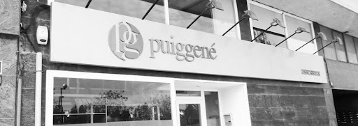 Puiggené Assessors - Visual