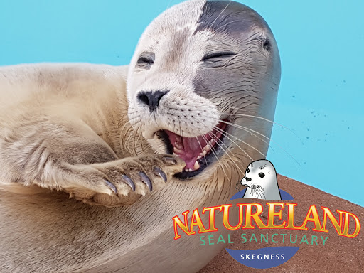 Natureland Seal Sanctuary (Skegness)