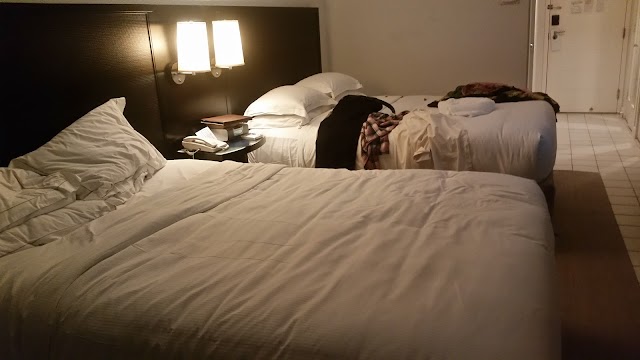 Hilton Rose Hall Resort & Spa