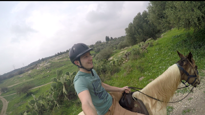 Photos of חוות סוסים עליזה