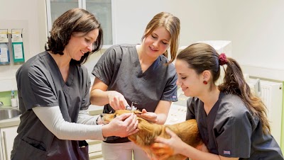 Photos of Veterinarian Dr. Alexander Fl&ouml;ck