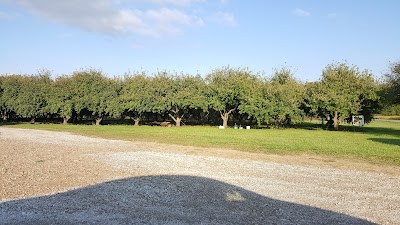 The Orchard