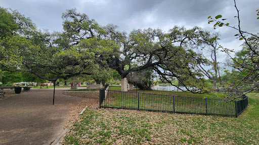 Founders Oak Logo