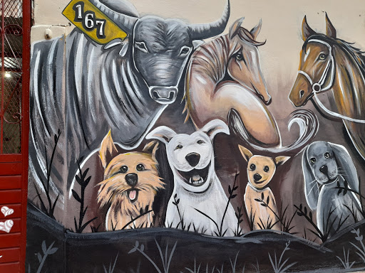 VETERINARIA "HEWA" - Thumbnail
