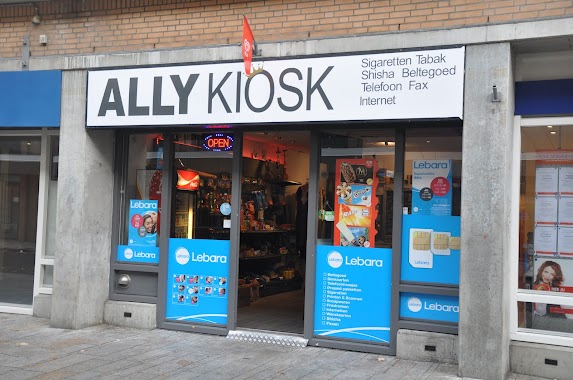 Ally Kiosk, Author: Peter Dubèl