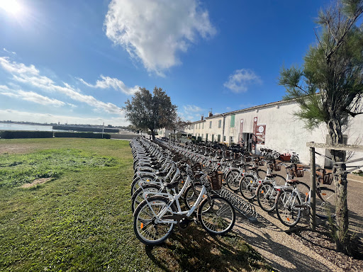 Vel'île en Ré - Location Vélo La Flotte Ile De Ré - Thumbnail